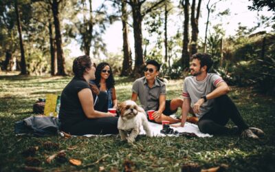 Thermal bag: a great accessory for a picnic